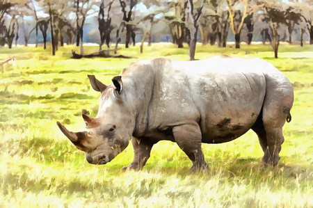 White rhinoceros Ceratotherium simum colorful paintingの写真素材