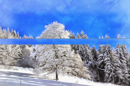 Beautiful winter landscape with snowy treesの写真素材