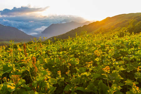 Beautiful mountain landscape at Caucasus mountains with clouds and blue skyの写真素材