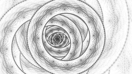 Monochrome abstract fractal illustration for creative design.の写真素材