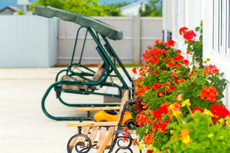 Beautiful flowers outdoors courtyard decoration, sunny day scene..の写真素材