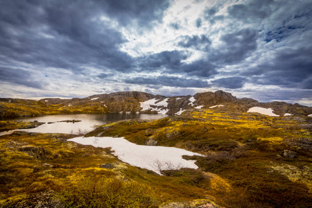 Beautiful arctic summer landscape on Barents sea shoreline.の写真素材