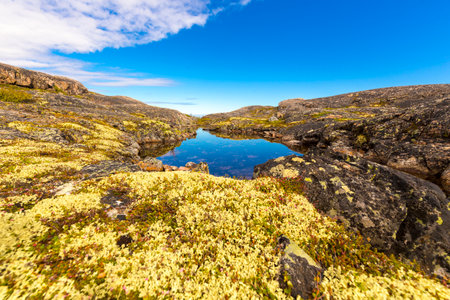 Beautiful arctic summer landscape on Barents sea shoreline.の写真素材