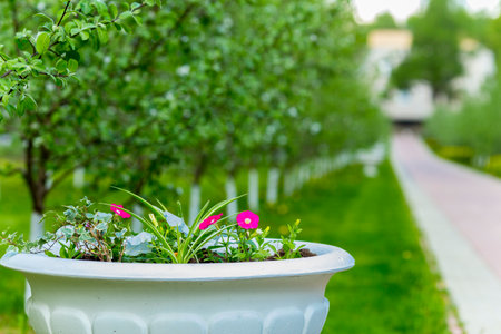 Beautiful spring garden alley view with flowerbed.の写真素材