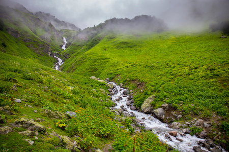 Beautiful rocky creek in the Caucasus mountains forest.の写真素材
