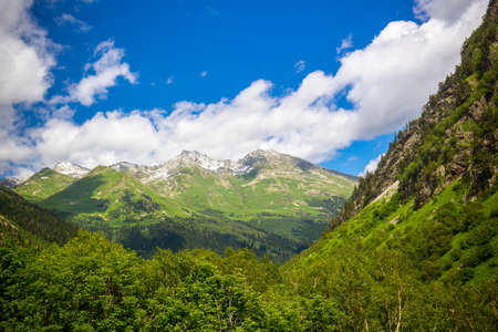 Beautiful mountain landscape with forest at Caucasus mountains.の写真素材