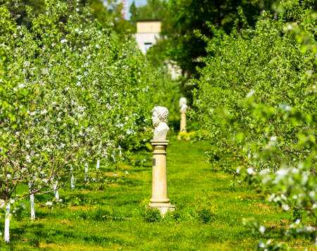 Beautiful spring garden alley view with Pushkin statueの写真素材