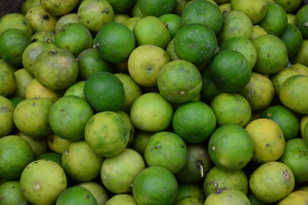 Lime, also traditionally known as lime greenの写真素材