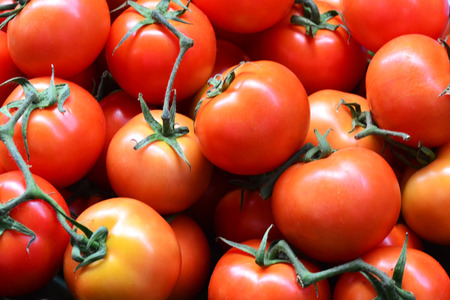 photo of very fresh tomatoesの写真素材