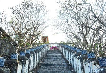 Old staircase among natureの写真素材