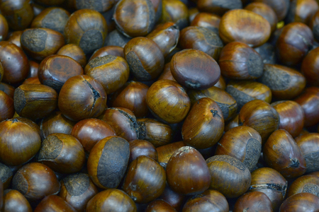 Group of edible chestnutsの写真素材