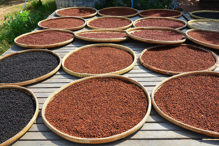 black pepper (sun-cured) * * note deep of fieldの写真素材