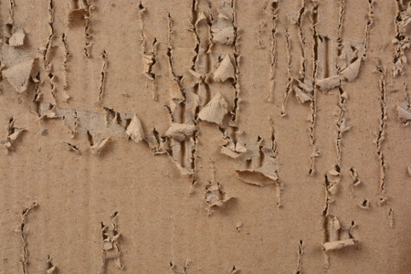 ripped and scratch corrugated paper sheet

の写真素材