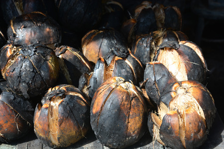roasted coconut, Coconut burnの写真素材