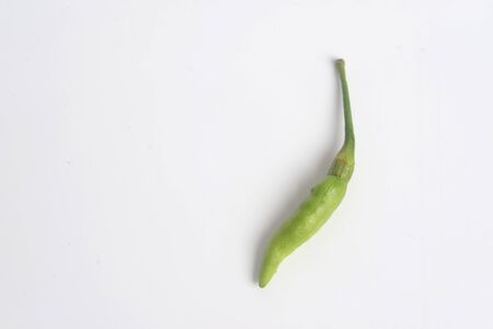 Chilli Padi, Bird's Eye Chilli, Bird Chilli, Thai pepper or Capsicum annuumの写真素材