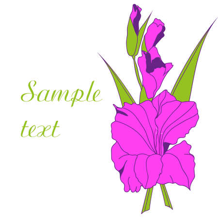 Pink flower. Vector illustration.のイラスト素材