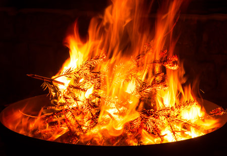 Campfire, Flames Fascination Fire Bowl, Embers, Firewoodの写真素材