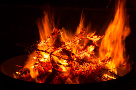 Campfire, Flames Fascination Fire Bowl, Embers, Firewoodの写真素材