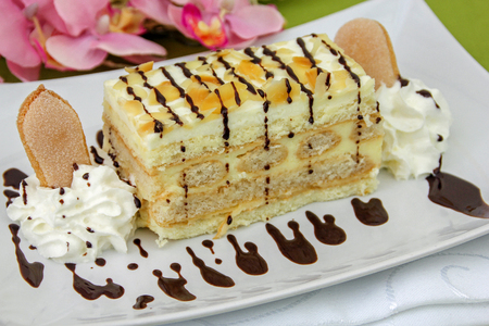 malakoff cake - austrian cake の写真素材