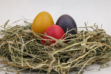 Still life of eggs, Easter eggs on the dry grassの写真素材