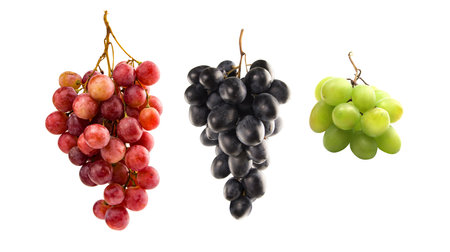 Collection of grape varieties isolated on white background. Red grapes, black grapes, green grapes.の写真素材