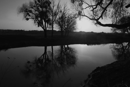 Black and white landscape. Wild forest with mystical lawns, trails and river. presence effect.の写真素材