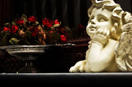 Angel roses の写真素材