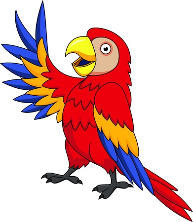 Macaw bird cartoon のイラスト素材