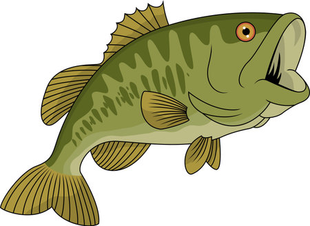 Bass fish 