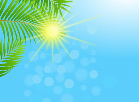 Palm tree background のイラスト素材