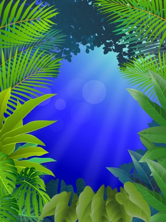 vector illustration of Tropical Leaf Backgroundのイラスト素材