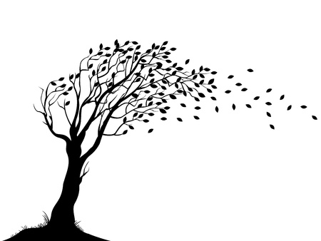 illustration of Autumn tree silhouette illustration of Autumn tree silhouette