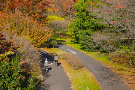 Couple riding bicycle in a park in autumnの写真素材