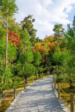 Beatiful garden pathwayの写真素材