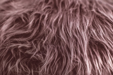 Brown Fur Brown Texture Fabric Design background with unique and attractive texture