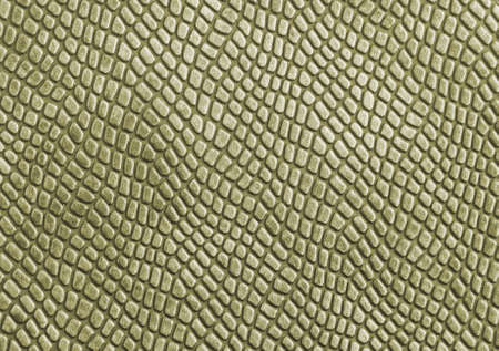 Textile Texture Spotted Fabric  Design background with unique and attractive textureの写真素材