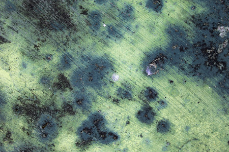 Green Cement Wall Is Dirty Background Rustic Texture
