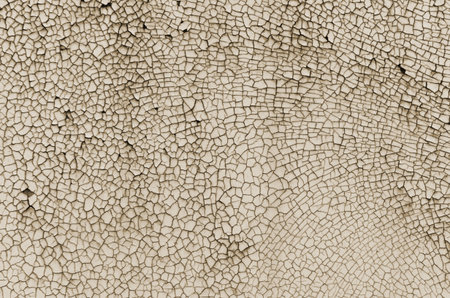 Texture Painted Wooden Boards Background Rustic Texture