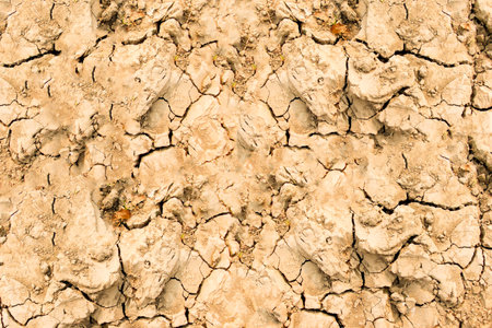 Dry and cracked earth background. Cracked soil texture. Abstract background.の写真素材