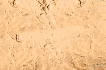 Dry soil with cracks in the ground as an abstract background.の写真素材