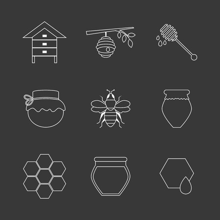 Flat design vector concept illustration with icons of  products bee-keeper and best product organic natural honey bee.  Thin line icons.のイラスト素材
