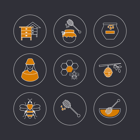 Flat design vector concept illustration with icons of  products bee-keeper and best product organic natural honey bee.  Thin line icons.のイラスト素材