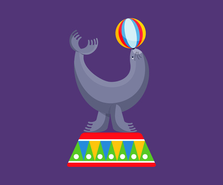 Sea calf shows skills in gymnastics, stunts, number with ball.のイラスト素材