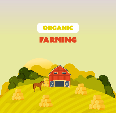 Farm surroundings, grounds, fields, agriculture, nature, natural environmentally friendly products.のイラスト素材