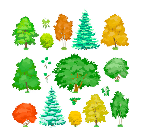 Set of cartoon trees. Cute plants, green, yellow eco aspen, maple, oak, birch trees in summer and autumn seasons, winter spruce. Ecology, pure nature, garden plant landscape. Vector illustration.のイラスト素材