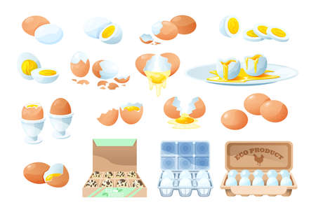 Fresh and boiled eggs. Broken eggs with cracked eggshell, in cardboard box, egg half with yolk, boiled and fried, form for food. Cooking ingredient. organic farm product. vector illustration.のイラスト素材