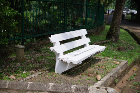 garden bench made of cement and painted white under a big treeの写真素材