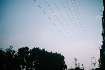 a natural landscape with large trees and towering cables against a clear morning skyの写真素材