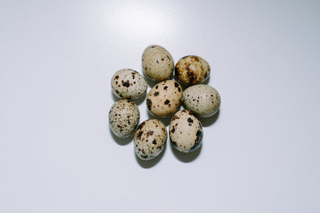 Quail eggs that are the size of an adult human's thumb are lined up on a white mat for photographic and detailed purposes.の写真素材