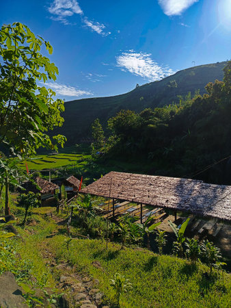Scenic hillside rest area with breathtaking rice field views, offering a peaceful retreat amidst...